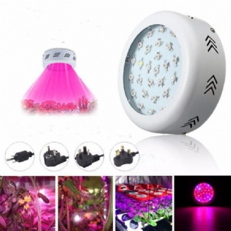 70w Ufo Led Full Spectrum Grow Light Lamp Pro Rostliny Hydroponická Pokojová Květina