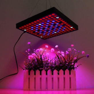 Ac110-240v Led Grow Light Plnospektrální Rostlinná Lampa Pro Vnitřní Hydroponické Rostlinné Květiny