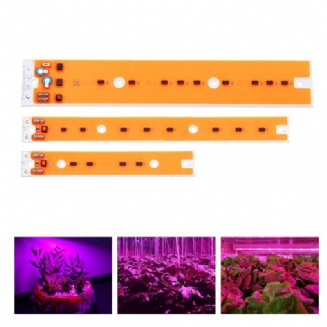 Ac110v/220v 30w 50w 80w Full Spectum Led Cob Chip Grow Světelný Zdroj Pro Záplavovou Jód-wolframovou Lampu