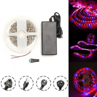 Dc12v 5m Červená:modrá 3:1 Vodotěsná Sada 5050 Full Spectrum Grow Led Strip Lights Pro Rostliny