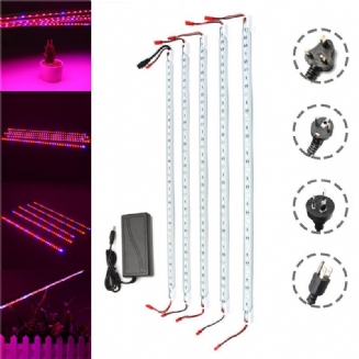 Dc12v 5pcs 50cm Vodotěsný Smd5050 Červený:modrý 5:1 36led Strip Plant Garden Grow Light + 5a Napájecí Adaptér