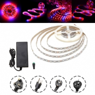 Dc12v Nevodotěsný 5m Červený:modrý 4:1 Smd5050 Full Spectrum Led Strip Grow Light + Napájecí Zdroj