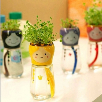 Diy Mini Doll Tail Absorpce Vody Rostlina V Květináči Stolní Kancelářská Výzdoba