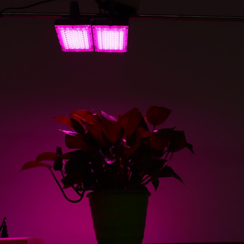 Full Spectrum 100 Led Grow Light Flood Pro Rostliny Zeleninu A Květiny