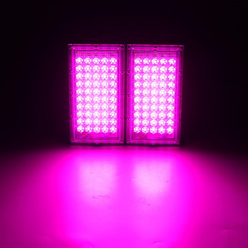 Full Spectrum 100 Led Grow Light Flood Pro Rostliny Zeleninu A Květiny