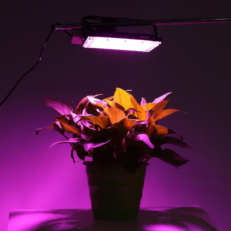 Full Spectrum 50 Led Grow Light Flood Lampa Pro Rostliny