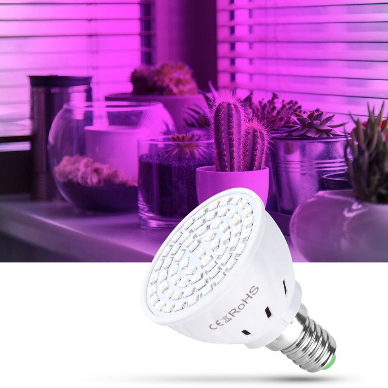 Led Fyto Lampy Full Spectrum Grow Light Led Žárovky Sazenice Led Lampa Pro Pěstování Rostlin E14 E27 Pro Výsadbu Skleníků