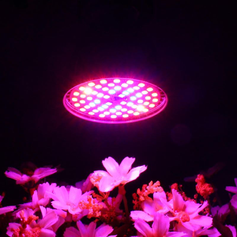 Led Žárovka Grow Light E27 2835 Smd Full Spectrum Plant Hydroponic Aquarium Ac85-265v