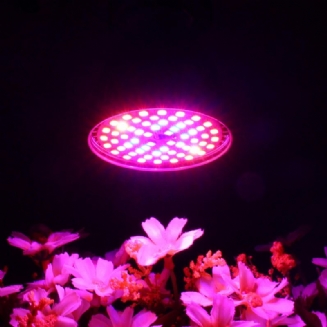 Led Žárovka Grow Light E27 2835 Smd Full Spectrum Plant Hydroponic Aquarium Ac85-265v