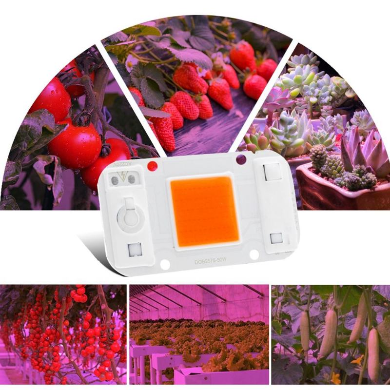 Lustreon 20w 30w 50w Full Spectrum Cob Led Grow Light Chip Diy Pro Pokojové Rostliny Hydroponice Ac220v