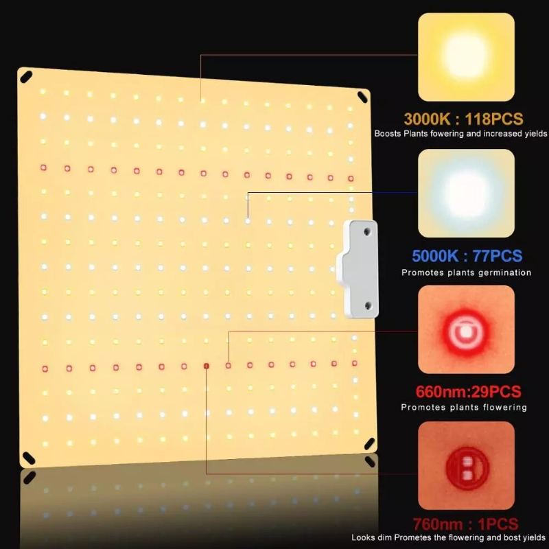 Qbcc600 Pro Ir+uv Tichý Bez Ventilátoru Full Spectrum Led Grow Light High Ppfd Pro 2x3ft Stan Pro Sazenice Zeleniny A Kvetení