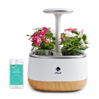 Sada S Plant Smart Fresh Herb Garden Inteligentní Vnitřní Klíček Led Osvětlení Zahradní Květináč Se Čtyřmi Květinami S Dálkovým Ovládáním Pomocí Samozavlažovací Technologie