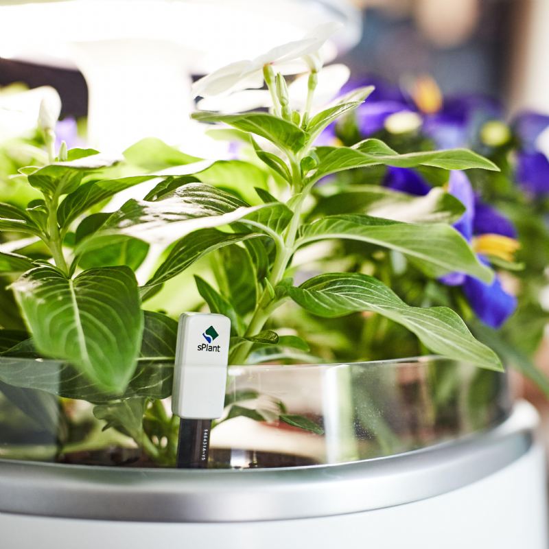 Sada S Plant Smart Fresh Herb Garden Inteligentní Vnitřní Klíček Led Osvětlení Zahradní Květináč Se Čtyřmi Květinami S Dálkovým Ovládáním Pomocí Samozavlažovací Technologie