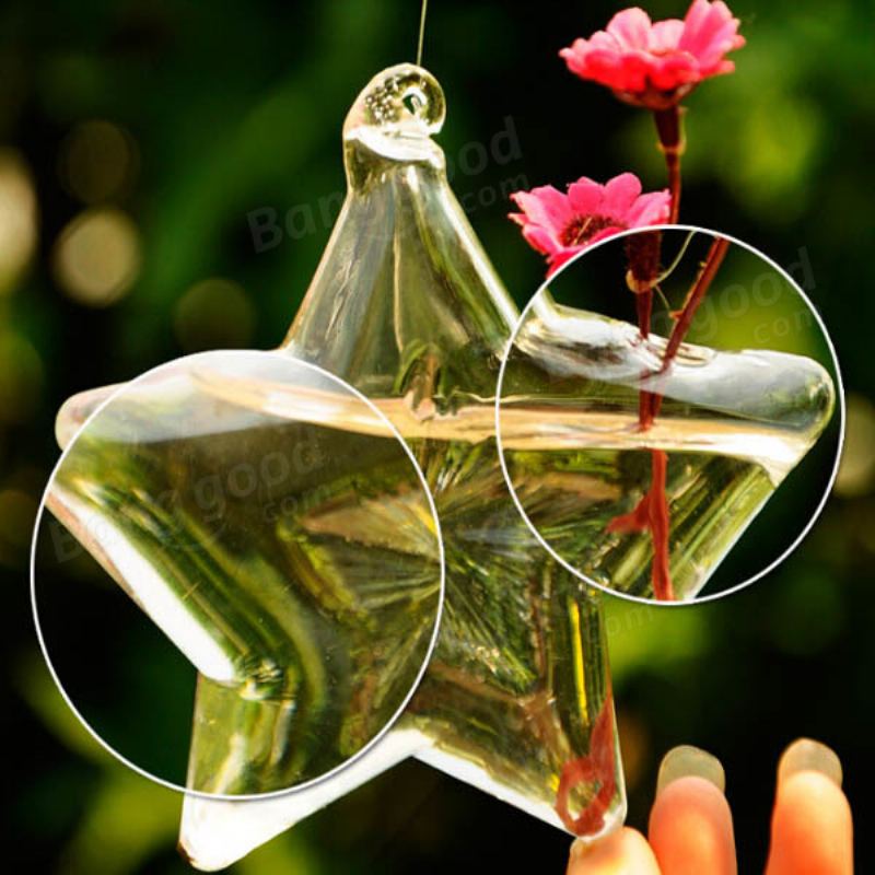 Skleněná Květinová Váza Ve Tvaru Lucky Star Ve Hydroponické Nádoby Na Rostliny