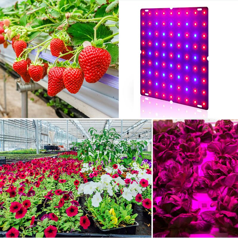 Ultratenká 81/169led Rostlinná Uv Lampa Pro Pěstování Rostlin Full Spectrum Veg Pro Vnitřní Hydroponické Rostlinné Květiny 110-240v