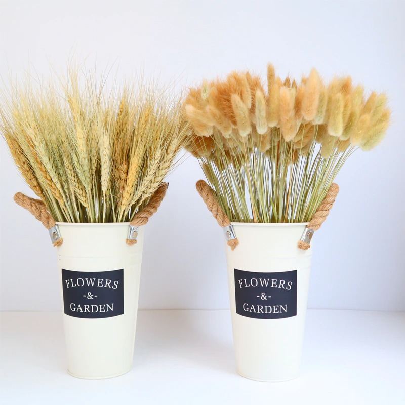 Skutečné Pšeničné Klasy Květinová Dekorace Přírodní Sušené Květiny Pro Svatební Párty