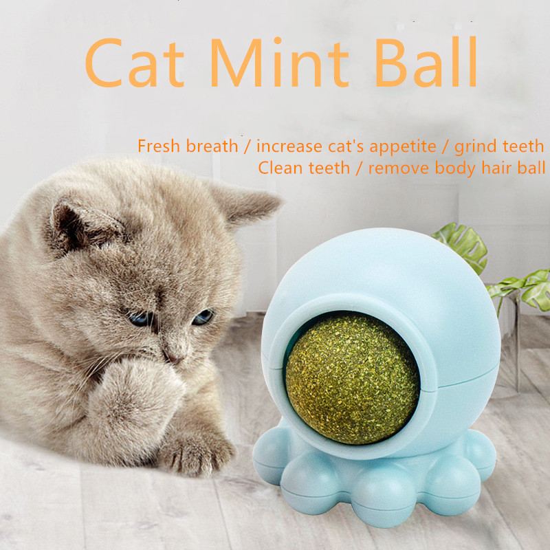 Catnip Natural Toy Zuby Grill Odstraňte Špatný Dech